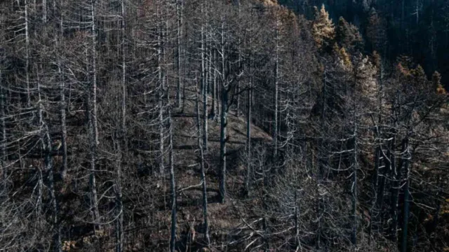 Κόνιτσα: Μετά από 21 μέρες τέθηκε υπό έλεγχο η φωτιά – «Στοίχημα» η αποκατάσταση της Τραπεζίτσας
