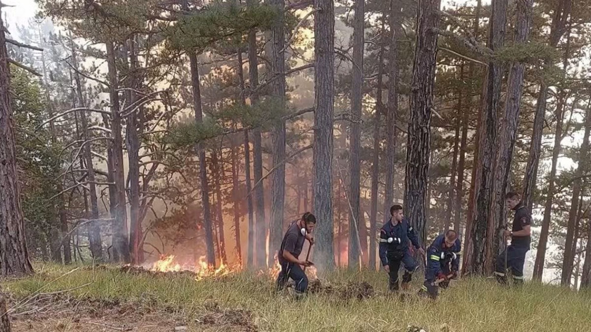 Κόνιτσα: Η μάχη των δασοκομάντος με τις φλόγες – Καλύτερη η εικόνα της πυρκαγιάς