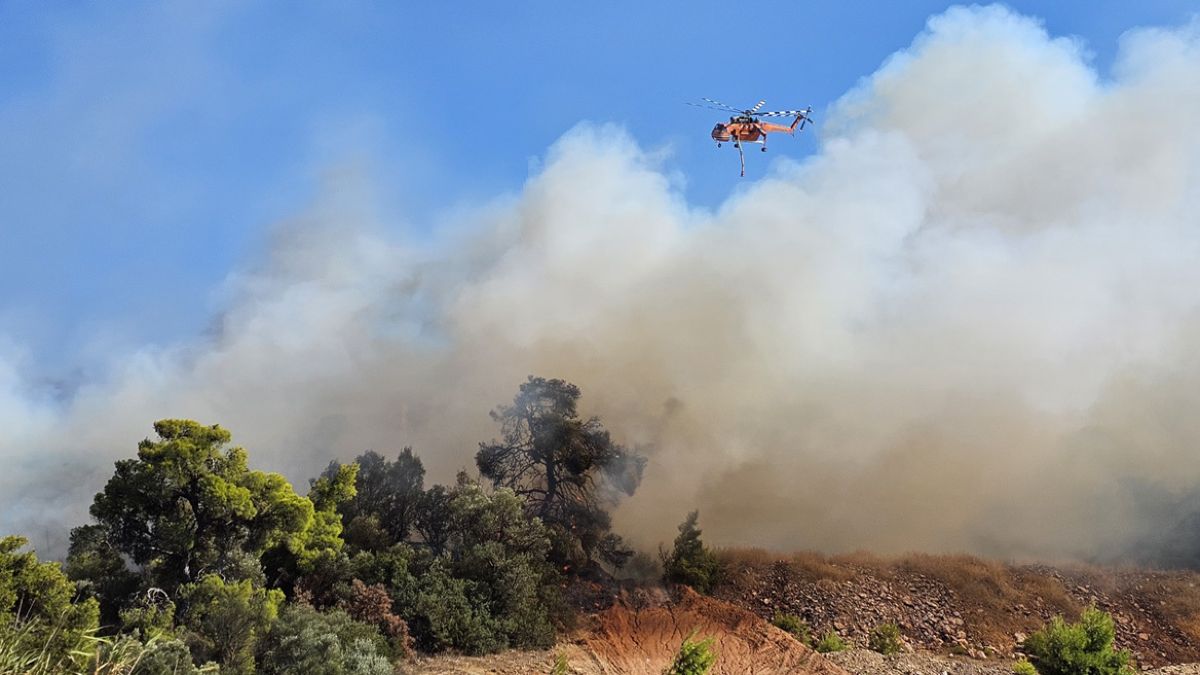 Μεγάλη πυρκαγιά στην Παιανία – Ήχησε το 112