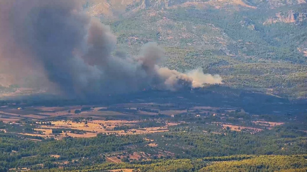 Φωτιά στη Μακρυκάπα Ευβοίας: Ενισχύθηκαν οι δυνάμεις – 112 για εκκένωση της Τριάδας