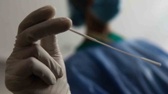 Ιός του Δυτικού Νείλου: Δωρεάν rapid test στους πολίτες από τον Δήμο Βάρης-Βούλας-Βουλιαγμένης