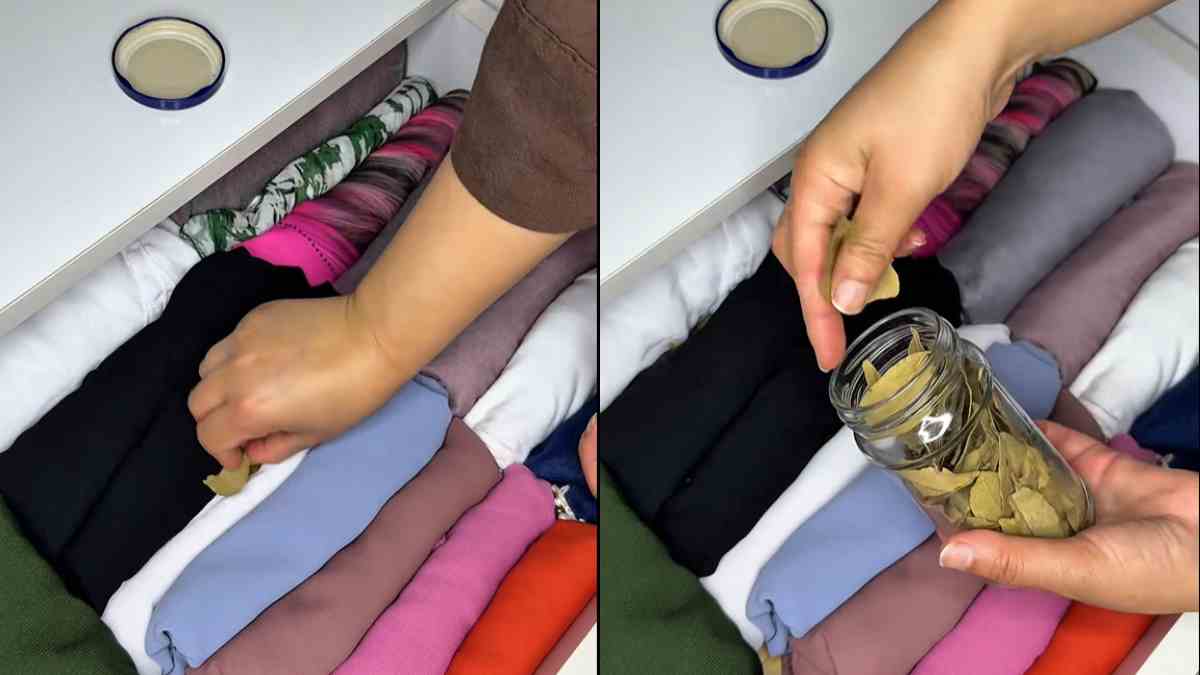 Το φυσικό «όπλο» για τον σκόρο βρίσκεται στην κουζίνα σας – Αρκούν λίγα φύλλα δάφνης