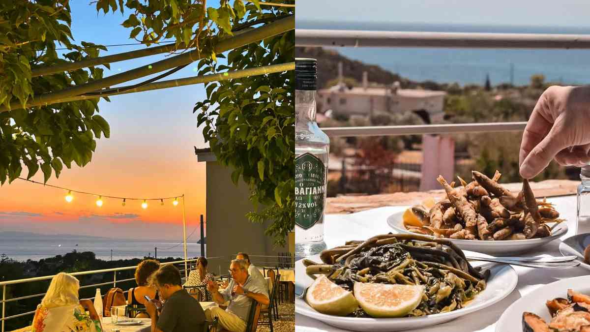 «Όαση δροσιάς και γεύσης»: Η ιστορική ταβέρνα κάτω από τις μουριές που θα σε κάνει να ξεχάσεις ότι είσαι μια ανάσα από την Αθήνα!