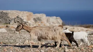 Επίδομα 10.000 ευρώ για μετεγκατάσταση σε ακριτικές περιοχές: Άνοιξε η πλατφόρμα – Οι 10 νέες περιοχές
