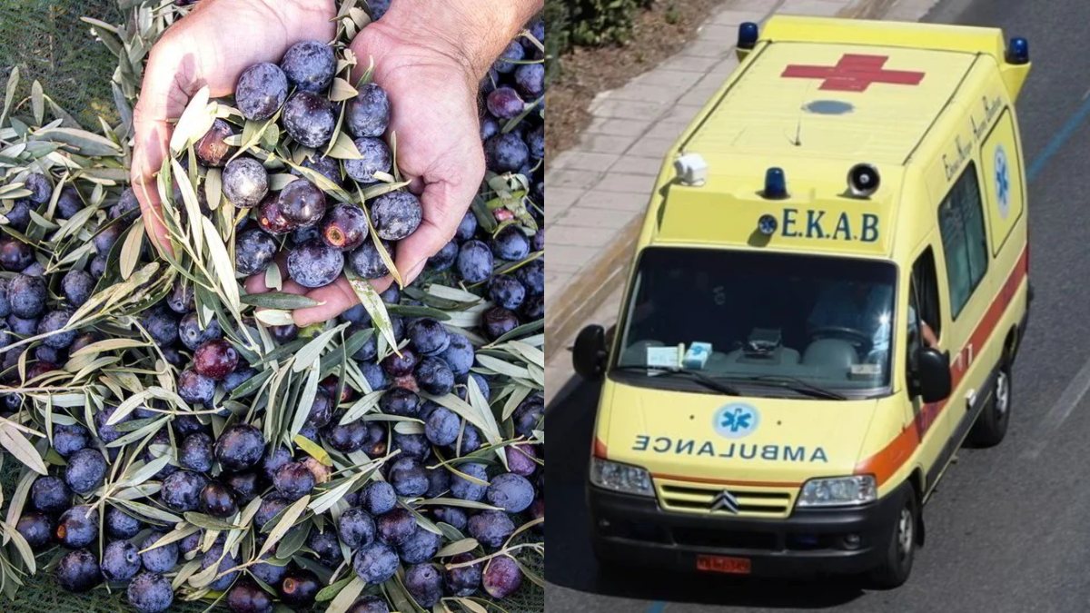 Τραγωδία: Πήγε από την Αθήνα να μαζέψει τις ελιές του και βρέθηκε νεκρός