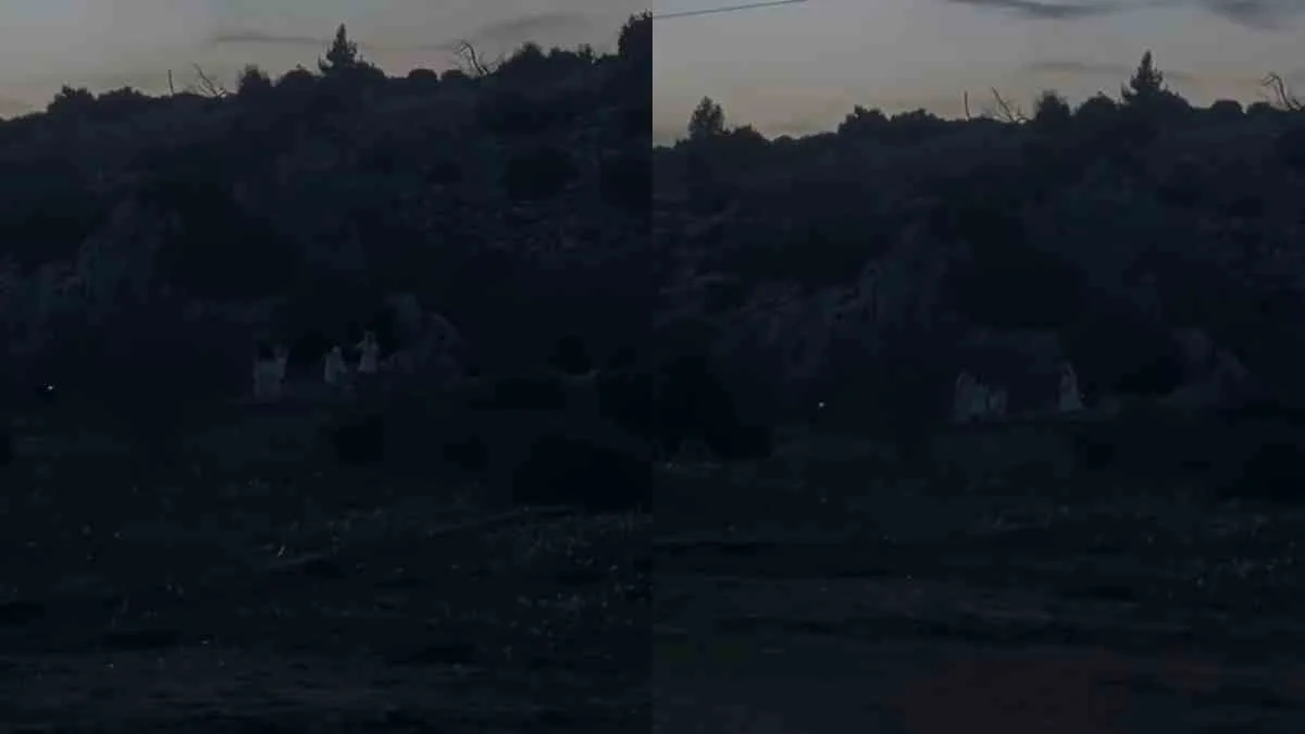 Το βίντεο από την Πάρνηθα που διχάζει το TikTok: Τελετή ή καλοστημένο σκηνικό;